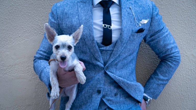 Importancia de usar un moño o corbata en una boda